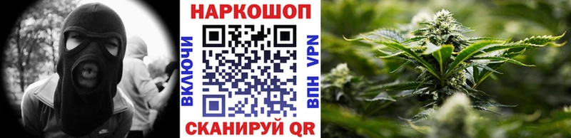 Где можно купить наркотики Новоржев СК  Меф  Гашиш  Галлюциногенные грибы  COCAIN 