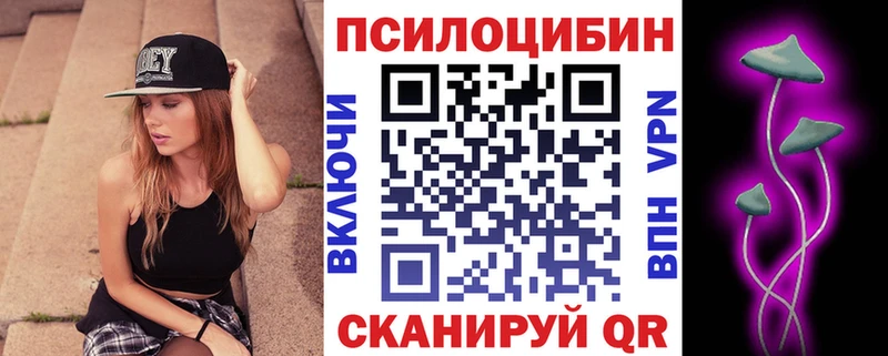 Галлюциногенные грибы Psilocybine cubensis  Новоржев 